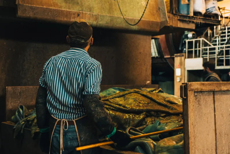 The Canvas Salesman Who Accidentally Dressed America: How Gold Rush Tent Material Became the World's Most Democratic Pants