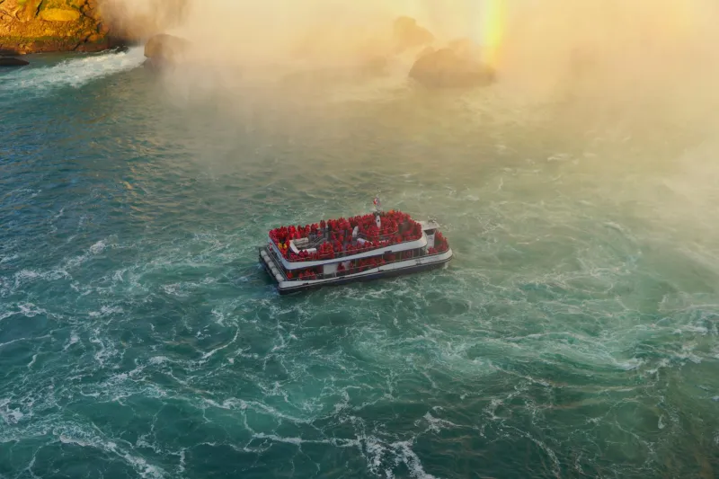 Why Your Romantic Honeymoon Actually Started as a Viking Kidnapping Ritual